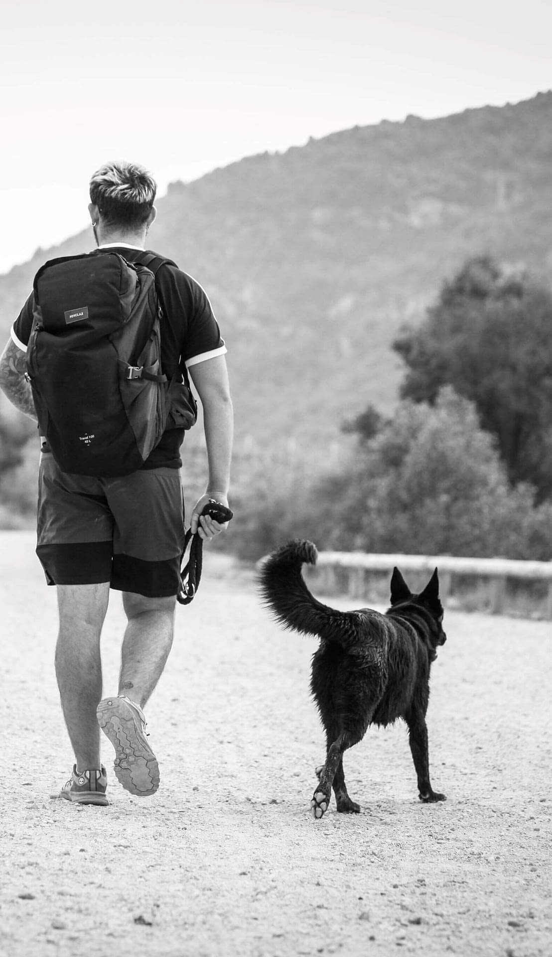 education-canine-nice3 Education Canine Nice3